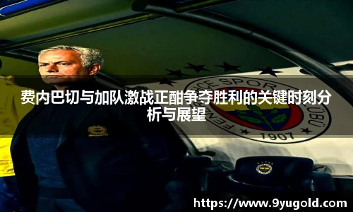 BB贝博艾佛森