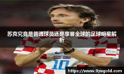 BB贝博登录入口