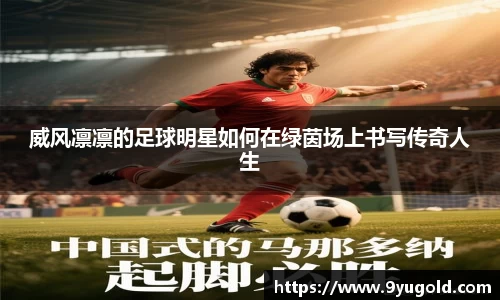 BB贝博登录入口