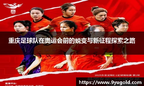 BB贝博登录入口